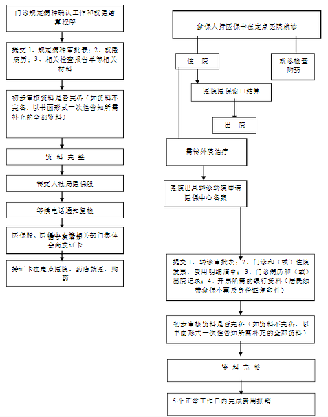 医保待遇审核流程图