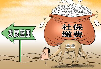 社保一档要交多少钱