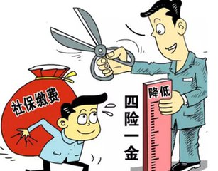社保缴费构成