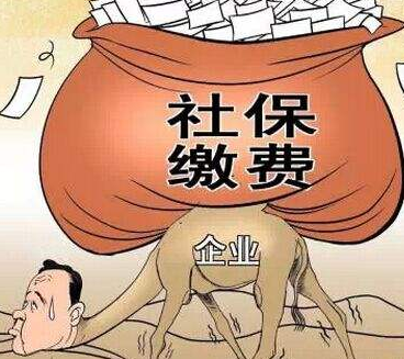 个人社保缴费多少合适