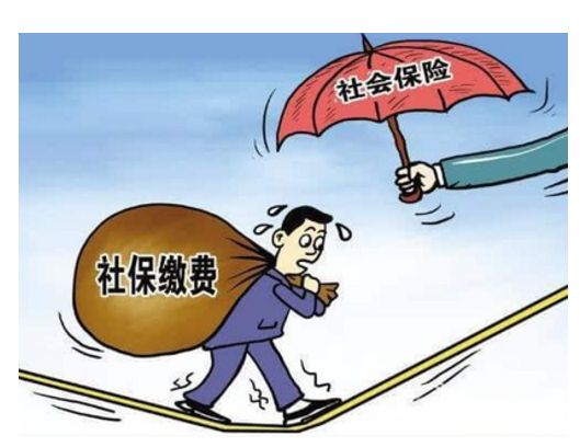 社保缴费工资是怎样构成的