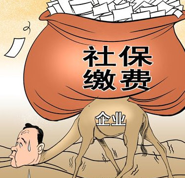社保网上缴费的操作步骤